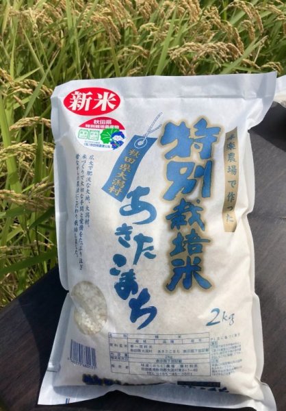 画像1: 新米！新米令和4年産　特別栽培米あきたこまち２ｋｇ（白米） (1)