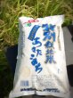 画像1: 新米！令和4年産「特別栽培米あきたこまち」5kg（白米） (1)
