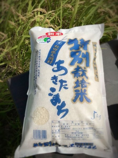 画像1: 新米！令和4年産　「特別栽培米あきたこまち」5kg（玄米） (1)